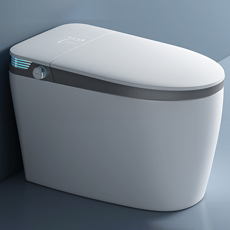 Elongated Floor Standing Bidet with Heated Seat White Deodorizing White Gray Clearhalo 'Bathroom Remodel & Bathroom Fixtures' 'Bidets' 'Home Improvement' 'home_improvement' 'home_improvement_bidets' 'Toilets & Bidets' 7889925