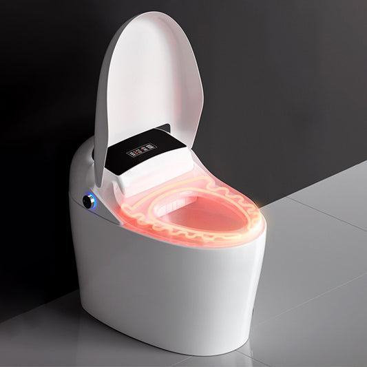 Ceramic Elongated Antimicrobial Floor Standing Bidet with Heated Seat Clearhalo 'Bathroom Remodel & Bathroom Fixtures' 'Bidets' 'Home Improvement' 'home_improvement' 'home_improvement_bidets' 'Toilets & Bidets' 7918969