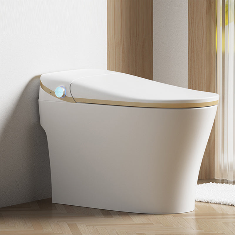 White Elongated Deodorizing Floor Standing Bidet Ceramic Remote Control Included White Gold Clearhalo 'Bathroom Remodel & Bathroom Fixtures' 'Bidets' 'Home Improvement' 'home_improvement' 'home_improvement_bidets' 'Toilets & Bidets' 7919514
