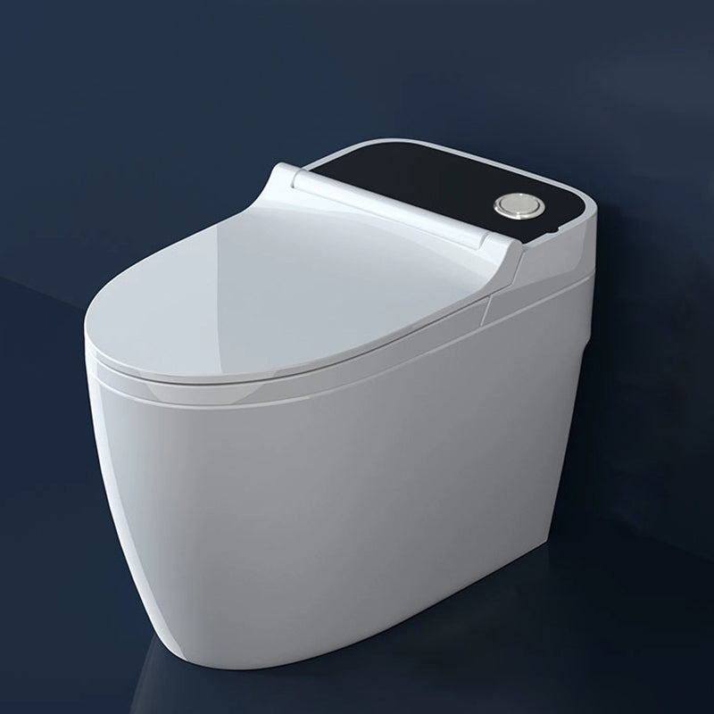 Ceramic Elongated Floor Mount Bidet without Water Pressure Control White Black Top Button Clearhalo 'Bathroom Remodel & Bathroom Fixtures' 'Bidets' 'Home Improvement' 'home_improvement' 'home_improvement_bidets' 'Toilets & Bidets' 7981965