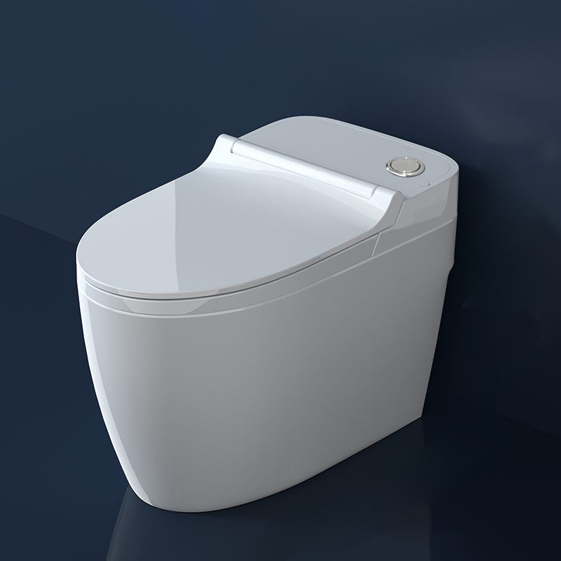 Ceramic Elongated Floor Mount Bidet without Water Pressure Control White Top Button Clearhalo 'Bathroom Remodel & Bathroom Fixtures' 'Bidets' 'Home Improvement' 'home_improvement' 'home_improvement_bidets' 'Toilets & Bidets' 7981968