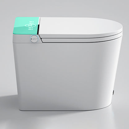 Elongated Ceramic Floor Mount Bidet with Nozzle and Heated Seat Green Clearhalo 'Bathroom Remodel & Bathroom Fixtures' 'Bidets' 'Home Improvement' 'home_improvement' 'home_improvement_bidets' 'Toilets & Bidets' 7982009