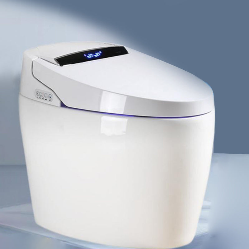 Contemporary Elongated Floor Standing Bidet Smart Bidet with Heated Seat Clearhalo 'Bathroom Remodel & Bathroom Fixtures' 'Bidets' 'Home Improvement' 'home_improvement' 'home_improvement_bidets' 'Toilets & Bidets' 7982188