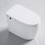 Ceramic Elongated Floor Mount Bidet in White without Water Pressure Control Clearhalo 'Bathroom Remodel & Bathroom Fixtures' 'Bidets' 'Home Improvement' 'home_improvement' 'home_improvement_bidets' 'Toilets & Bidets' 7982380