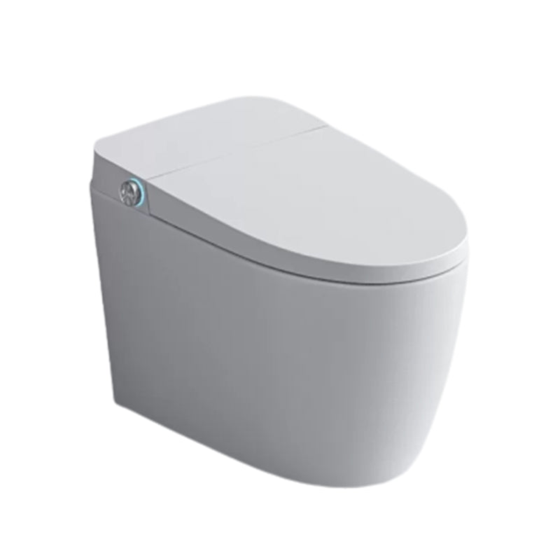 Ceramic Elongated Floor Mount Bidet in White without Water Pressure Control Clearhalo 'Bathroom Remodel & Bathroom Fixtures' 'Bidets' 'Home Improvement' 'home_improvement' 'home_improvement_bidets' 'Toilets & Bidets' 7982382