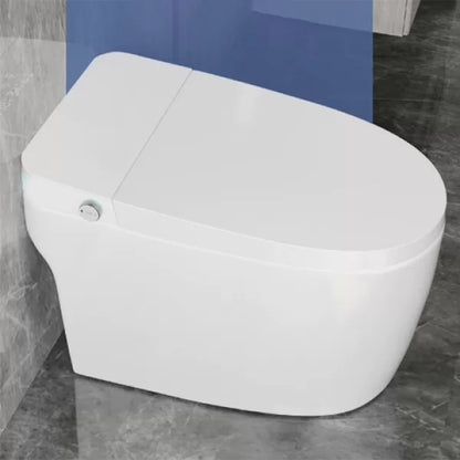 Elongated Smart Floor Standing Bidet without Water Pressure Control White Manual Flip (Standard) Clearhalo 'Bathroom Remodel & Bathroom Fixtures' 'Bidets' 'Home Improvement' 'home_improvement' 'home_improvement_bidets' 'Toilets & Bidets' 7982440