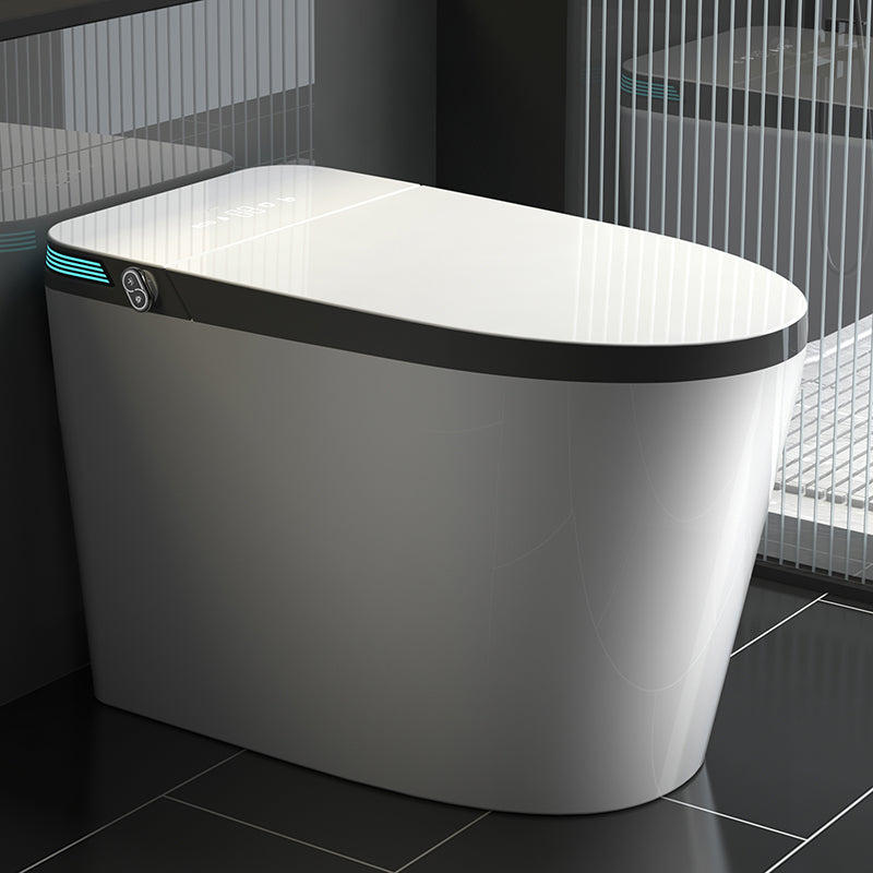 Elongated All-in-One Smart Bidet Toilet Seat with Unlimited Warm Water White Gray Clearhalo 'Bathroom Remodel & Bathroom Fixtures' 'Bidets' 'Home Improvement' 'home_improvement' 'home_improvement_bidets' 'Toilets & Bidets' 8033529