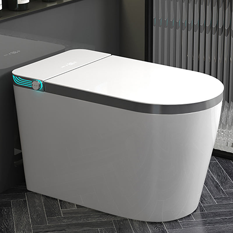 17.3" H Elongated Smart Toilet Seat Bidet of Vitreous China with Heated Seat White Gray Clearhalo 'Bathroom Remodel & Bathroom Fixtures' 'Bidets' 'Home Improvement' 'home_improvement' 'home_improvement_bidets' 'Toilets & Bidets' 8033558