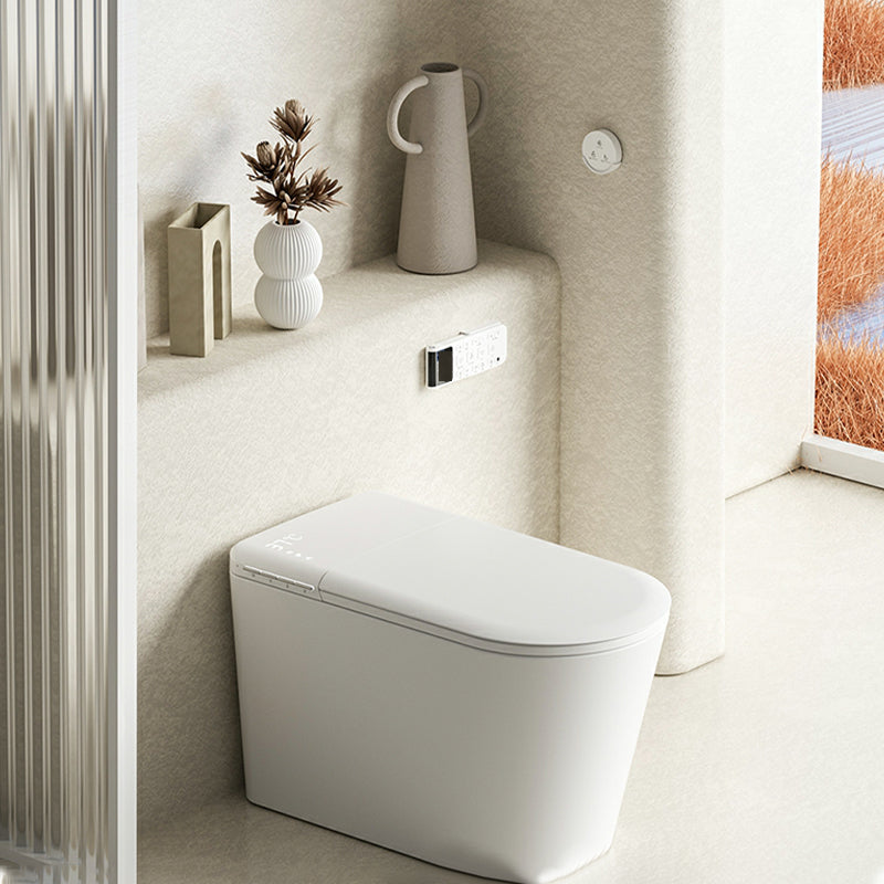 Modern Floor Mount Bidet with Elongated Bowl Shape and Heated Seat Clearhalo 'Bathroom Remodel & Bathroom Fixtures' 'Bidets' 'Home Improvement' 'home_improvement' 'home_improvement_bidets' 'Toilets & Bidets' 8086596