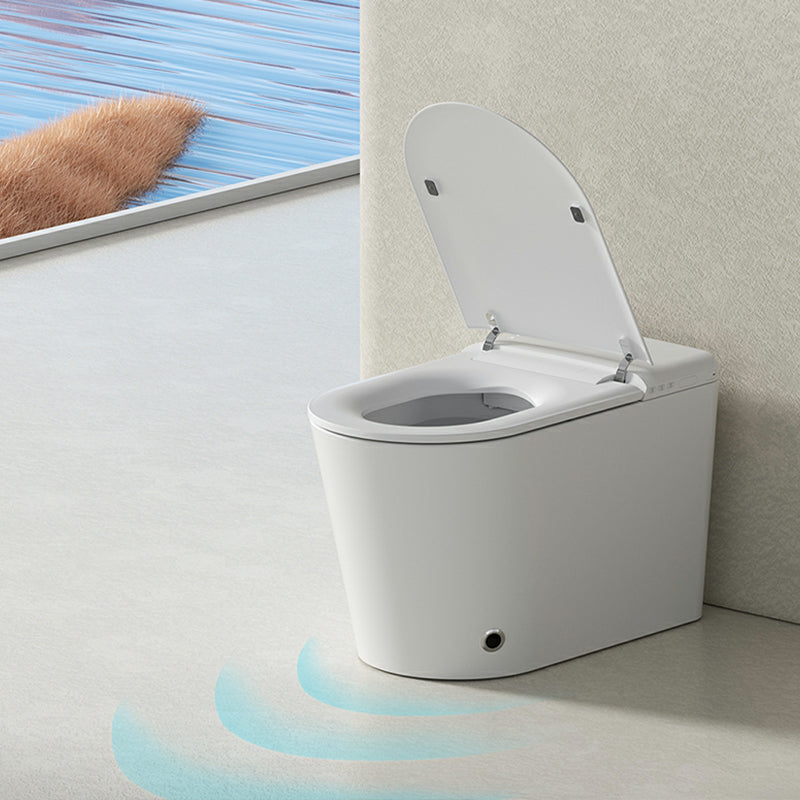 Modern Floor Mount Bidet with Elongated Bowl Shape and Heated Seat Clearhalo 'Bathroom Remodel & Bathroom Fixtures' 'Bidets' 'Home Improvement' 'home_improvement' 'home_improvement_bidets' 'Toilets & Bidets' 8086598