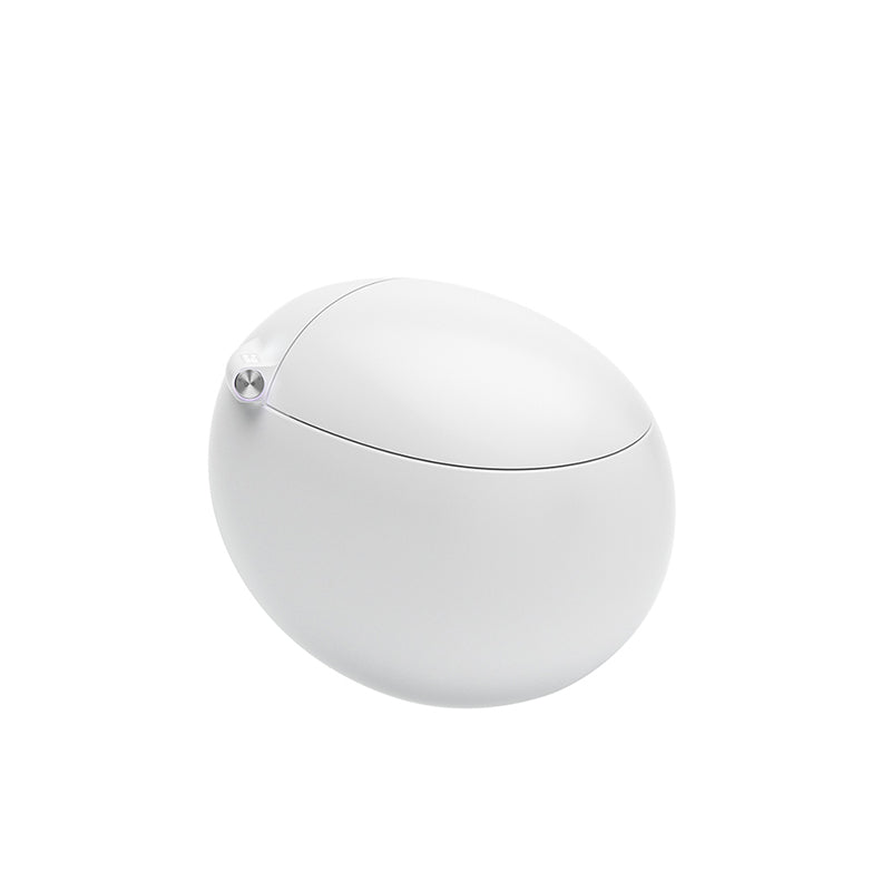 Round Floor Standing Bidet with Remote Control Included and Warm Air Dryer Clearhalo 'Bathroom Remodel & Bathroom Fixtures' 'Bidets' 'Home Improvement' 'home_improvement' 'home_improvement_bidets' 'Toilets & Bidets' 8086632