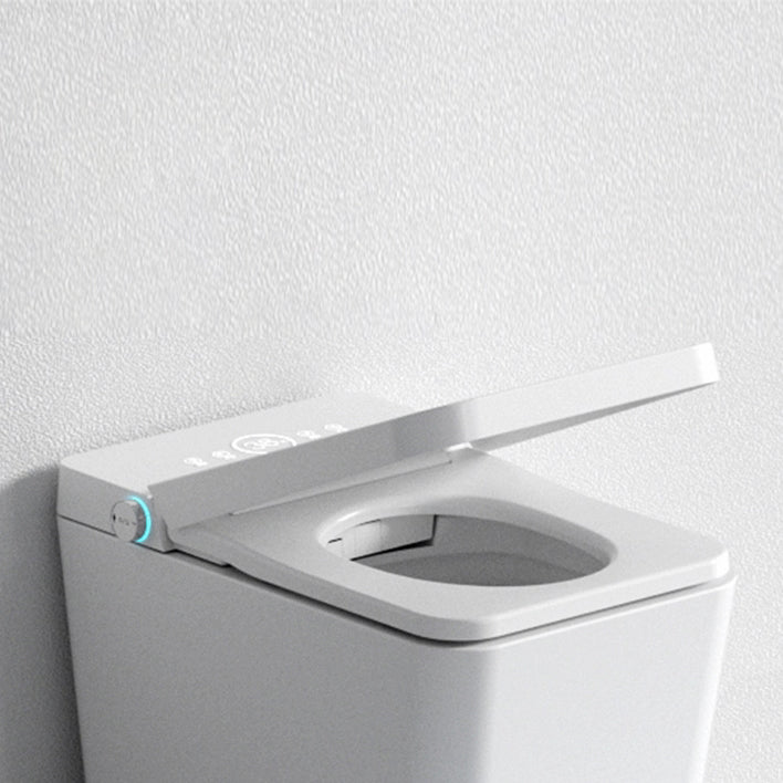 Ceramic Elongated Stain Resistant Smart Bidet Included Remote Control Clearhalo 'Bathroom Remodel & Bathroom Fixtures' 'Bidets' 'Home Improvement' 'home_improvement' 'home_improvement_bidets' 'Toilets & Bidets' 8191137