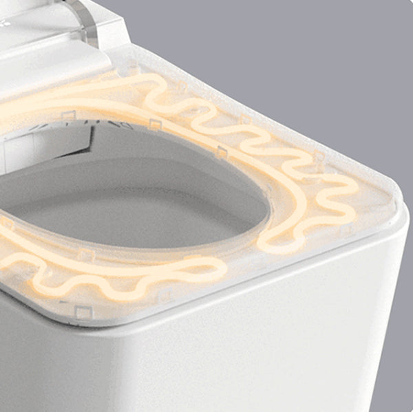Ceramic Elongated Stain Resistant Smart Bidet Included Remote Control Clearhalo 'Bathroom Remodel & Bathroom Fixtures' 'Bidets' 'Home Improvement' 'home_improvement' 'home_improvement_bidets' 'Toilets & Bidets' 8191145
