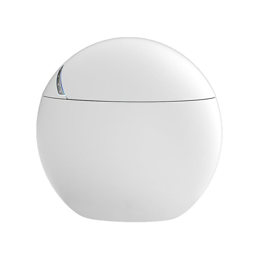 Round Stain Resistant Floor Mount Bidet with Temperature Control Clearhalo 'Bathroom Remodel & Bathroom Fixtures' 'Bidets' 'Home Improvement' 'home_improvement' 'home_improvement_bidets' 'Toilets & Bidets' 8191193