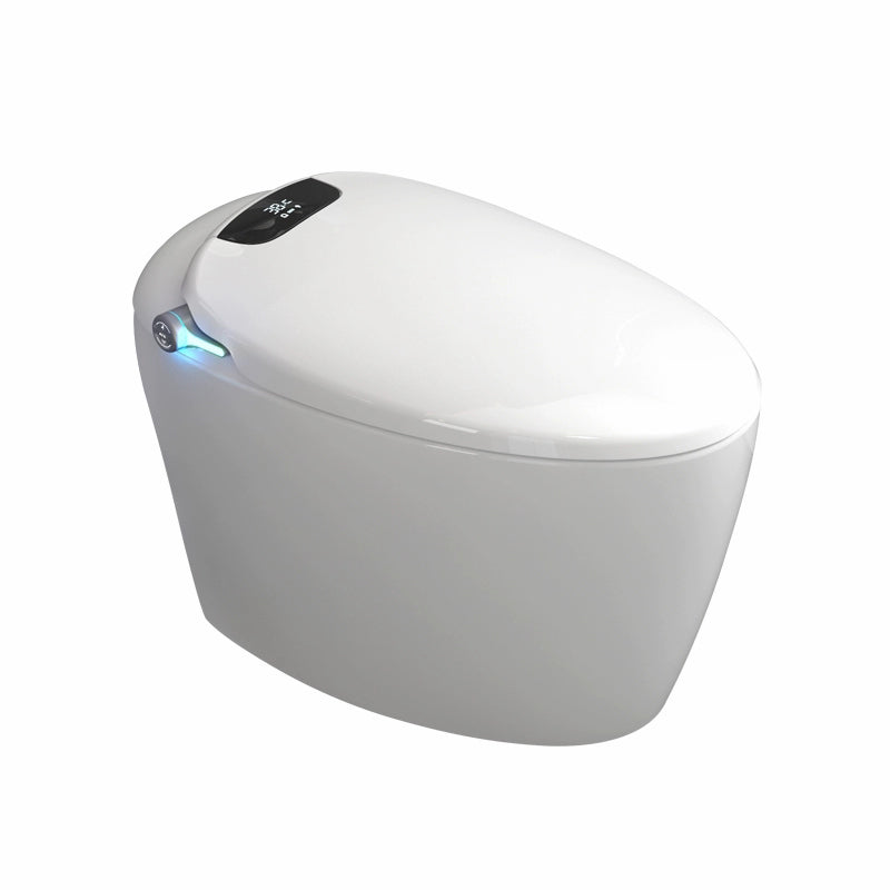 White Elongated Stain Resistant Floor Mount Bidet with Temperature Control Clearhalo 'Bathroom Remodel & Bathroom Fixtures' 'Bidets' 'Home Improvement' 'home_improvement' 'home_improvement_bidets' 'Toilets & Bidets' 8191210