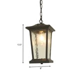 Single Head Birdcage Ceiling Light Countryside Black Water Glass Down Lighting Pendant Clearhalo 'Ceiling Lights' 'Glass shade' 'Glass' 'Pendant Lights' 'Pendants' Lighting' 852437