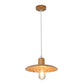 Wood Disk Shape Down Lighting Minimalist 1 Light Beige/Orange Red Hanging Pendant Lamp for Dining Room Clearhalo 'Ceiling Lights' 'Modern Pendants' 'Modern' 'Pendant Lights' 'Pendants' Lighting' 863275