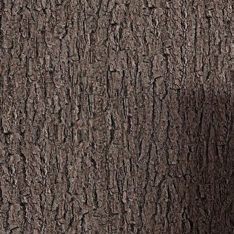 Dark Color Bark Wallpaper 33'L x 20.5"W Vinyl Stain-Resistant Stem Wall Decor Clearhalo 'Country wall decor' 'Rustic' 'Wallpaper' Wall Decor' 887331