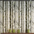 Rustic Birch Wallpaper Non-Pasted Wall Covering for Shops 33-foot x 20.5-inch Gray-Green Clearhalo 'Modern wall decor' 'Modern' 'Wallpaper' Wall Decor' 893252