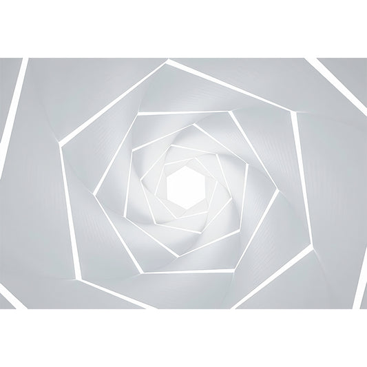 Illustration Style Big Wall Murals, 3D Endocentric Geometries Wall Covering for Gallery, Made to Measure