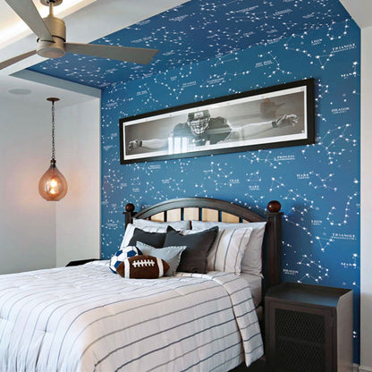 Contemporary Horoscope Wall Decor for Boy's Bedroom, 31'L x 20.5"W Wallpaper in Blue Color Dark Blue Clearhalo 'Wall Decor' 'Wallpaper' 962767