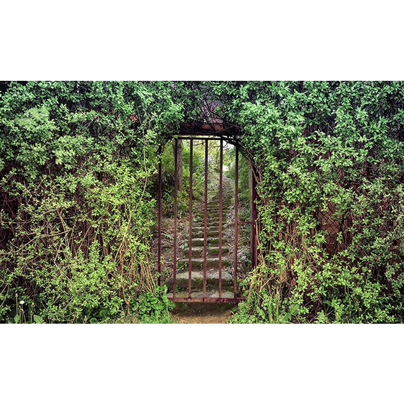 Photo Plant and Stair Mural Whole Wall Covering for Kitchen, Personalized Size Available Clearhalo 'Wall Decor' 'Wall Mural' 969981