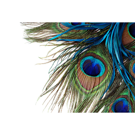 Customized Size Photography Fresh Mural Wallpaper for Accent Wall with Peacock Feather in Blue and Green