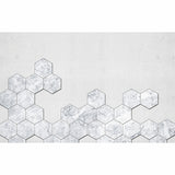 Photography Hexagon Wall Mural Decal for Accent Wall in White, Personalized Size Available
