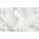 Photography Feather Wall Mural Decal for Accent Wall in Plain White, Personalized Size Available