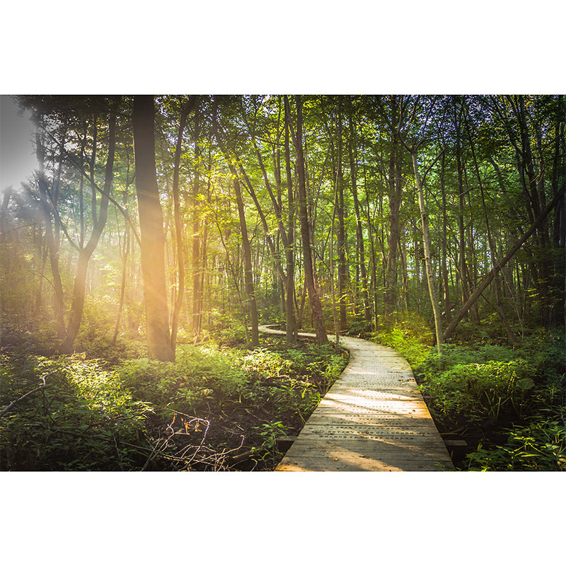 Stain-Resistant Leafy Pavement Mural Wallpaper Non-Woven Material Wall Art for Meeting Room Clearhalo 'Wall Decor' 'Wall Mural' 984280