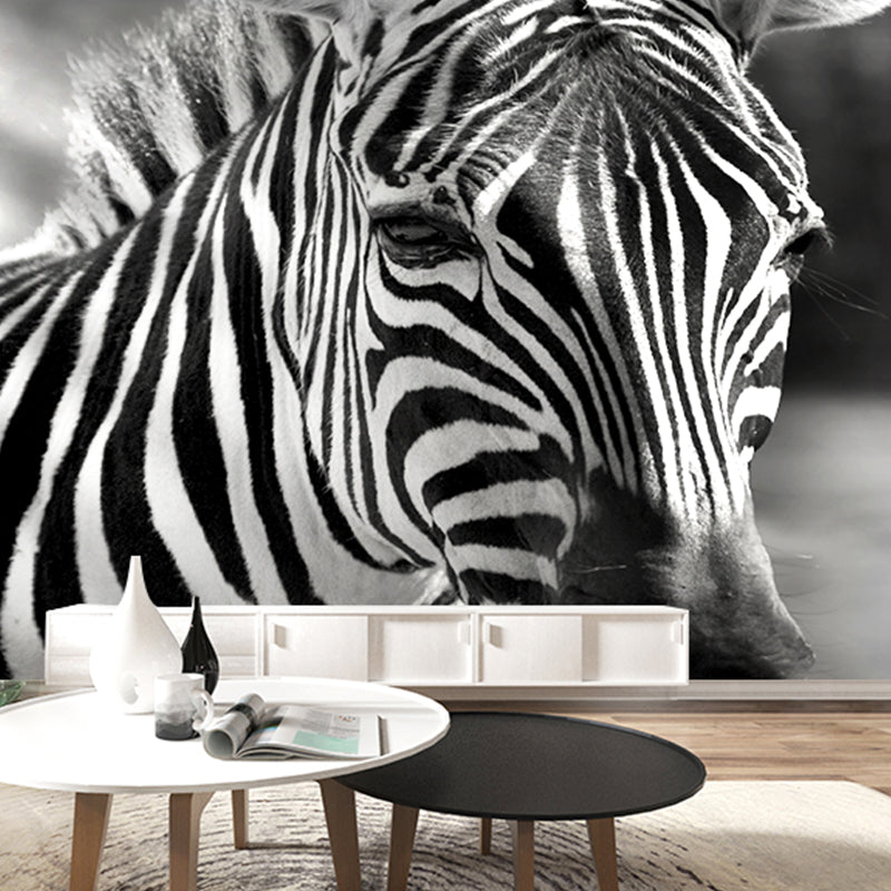 Zebra Mural Wallpaper Black and White Minimalist Wall Art for Living Room Black-White Clearhalo 'Wall Decor' 'Wall Mural' 990355
